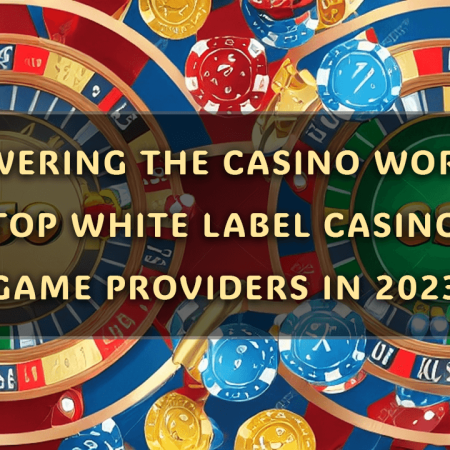 Powering the Casino World: Top White Label Casino Game Providers in 2023