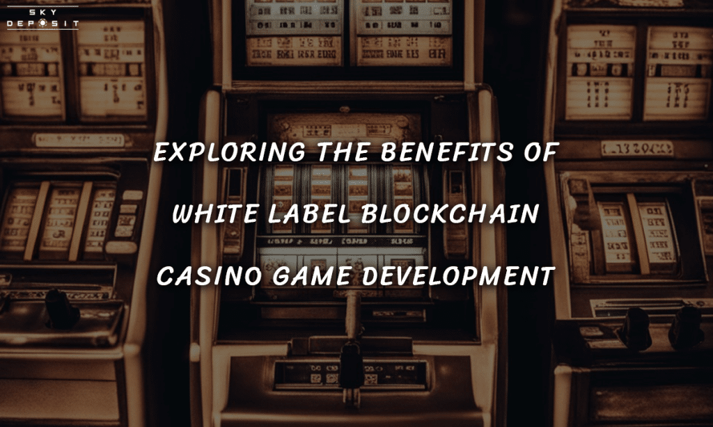 Exploring the Benefits of White Label Blockchain Casino Game Development