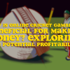 How is Online Cricket Gambling Beneficial for Making Money? Exploring the Potential Profitability
